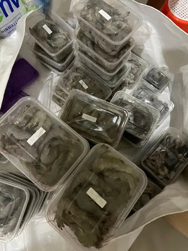 Foto produk 3 dari supplier darafauziw