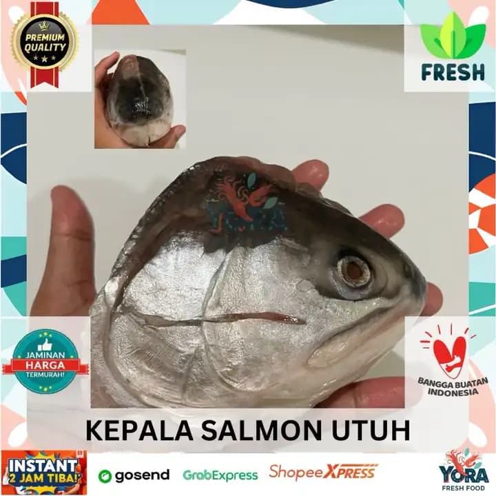 Foto produk 9 dari supplier darafauziw