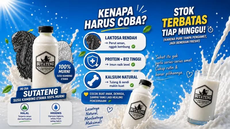 Foto produk 1 dari supplier hamzahdast