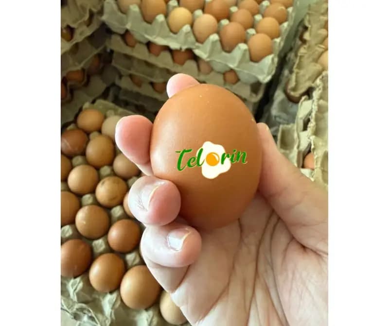 Foto produk 2 dari supplier nanaarchieve