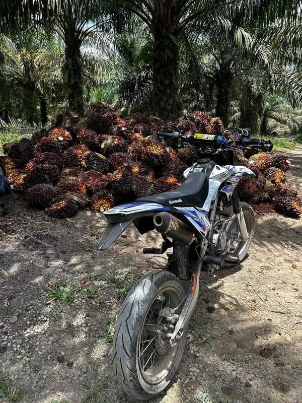 Foto produk 1 dari supplier dimassirsandoo