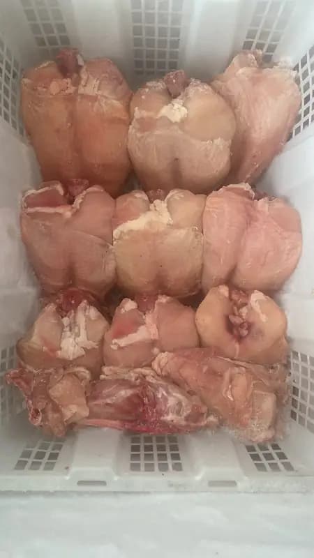 Foto produk 1 dari supplier arafahnikartika