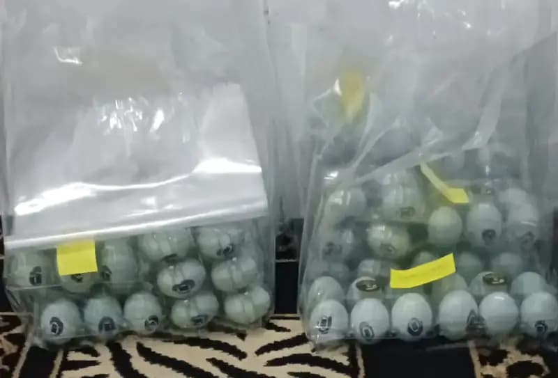 Foto produk 4 dari supplier k155nr