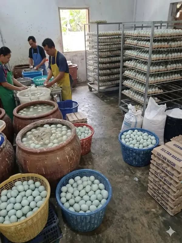 Foto produk 7 dari supplier k155nr