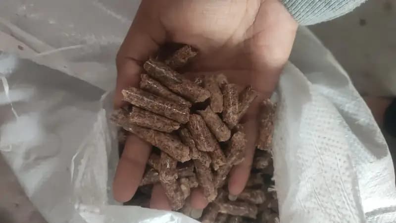 Foto produk 2 dari supplier little_mongkeys