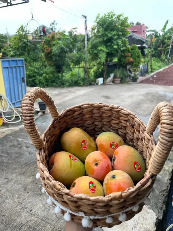 Foto produk 5 dari supplier aslamamanullah