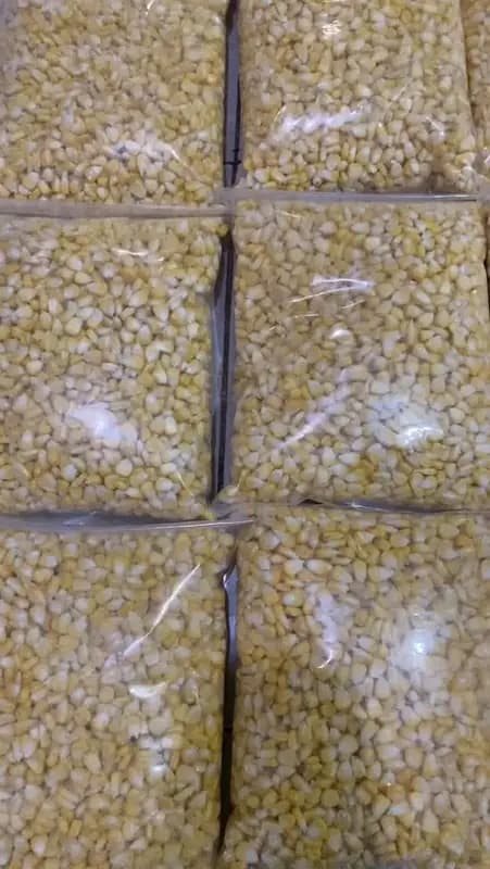 Foto produk 1 dari supplier syefaa98