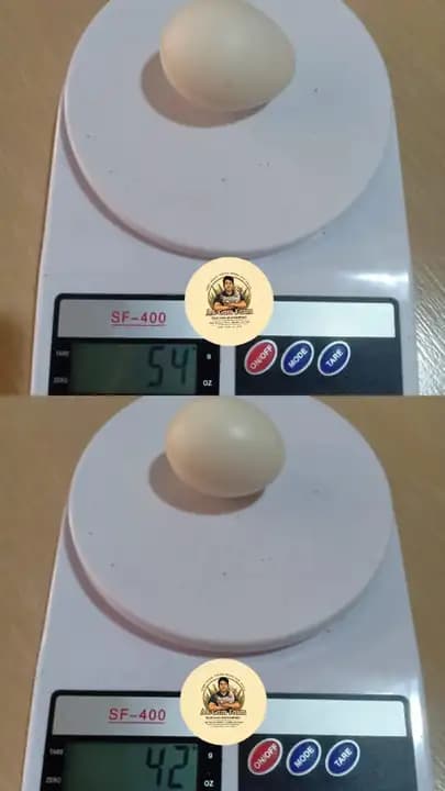 Foto produk 7 dari supplier fr.fadlirachman