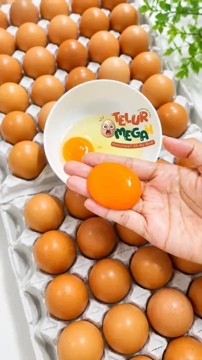 Foto produk 1 dari supplier teluromegah
