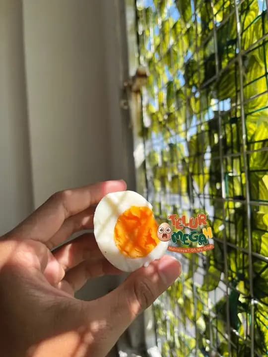 Foto produk 2 dari supplier teluromegah