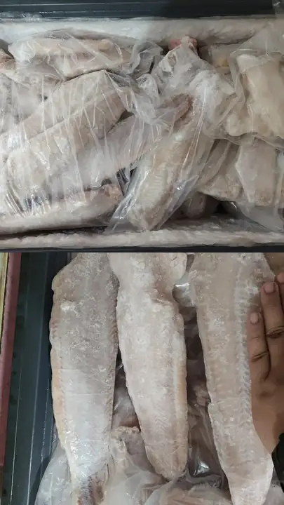 Foto produk 1 dari supplier nadakrsm