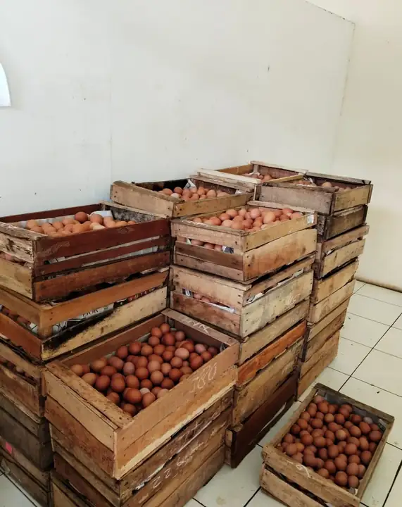 Foto produk 1 dari supplier imamiswahyudii