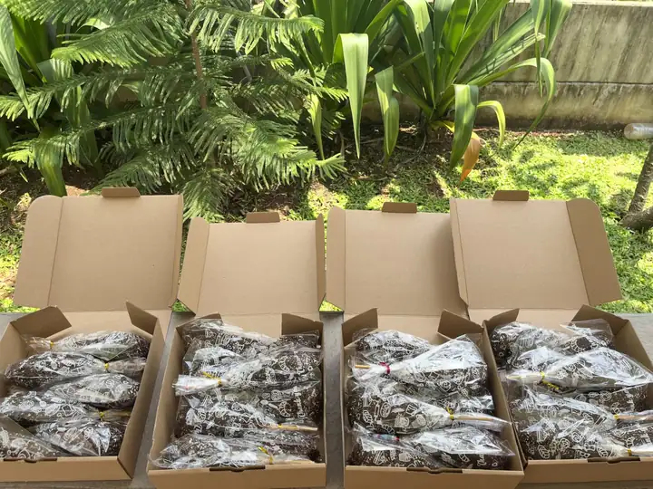 Foto produk 2 dari supplier litaborjunt