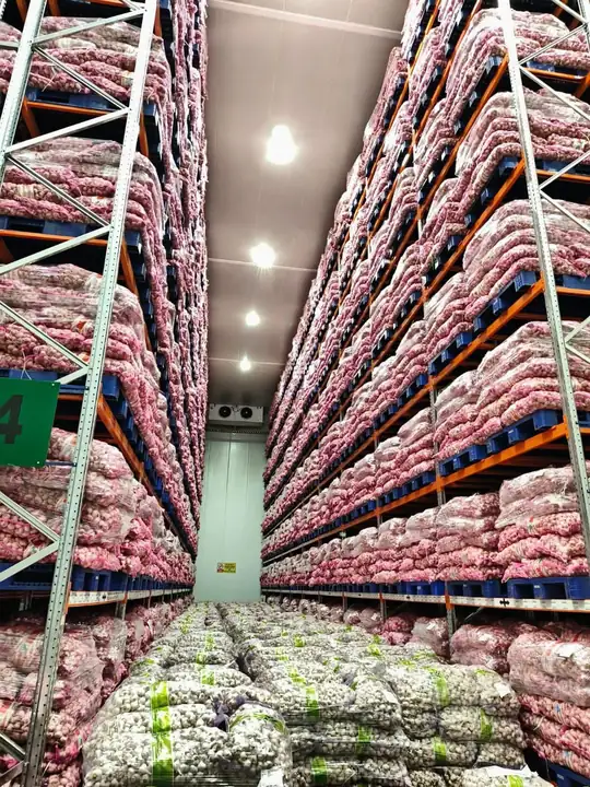 Foto produk 1 dari supplier safieraapriliya